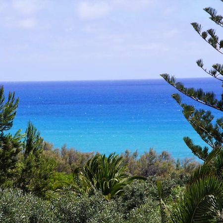 Porto Santo - Pedras Pretas Beach House Apartment Exterior photo